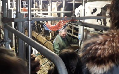 Sortie pédagogique à la ferme de « La rousse »